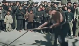 老视频,老视频中的时代记忆与情感共鸣